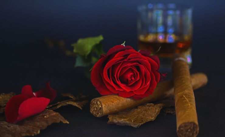 sigari e una rosa